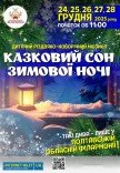 Мюзикл "Сказочный сон зимней ночью"
