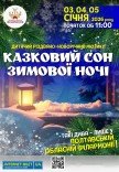 Мюзикл "Сказочный сон зимней ночью"