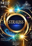 Концерт "Strauss"